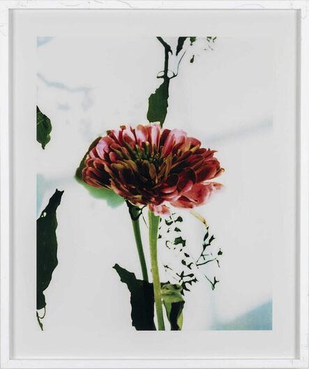 Miranda Lichtenstein, ‘Flower’, 2002-2021