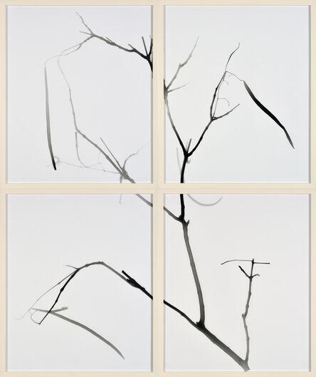 Gerda Schütte, ‘Untitled (from the series »Branches«, tableau, white, 4-partite)’, 2022