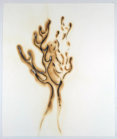Tristin Lowe, ‘Lowly Shrub Converses about Truffula Trees’, 2005
