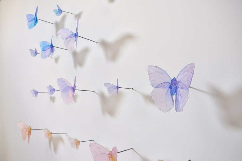 Alli Hoag, ‘Lepidopterist Conundrum #2’, 2020, Installation, Cast glass, blown glass, mixed media, Momentum Gallery