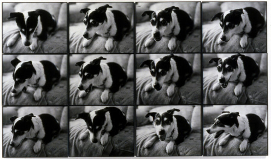 My mother's dog gets nervous when I go home