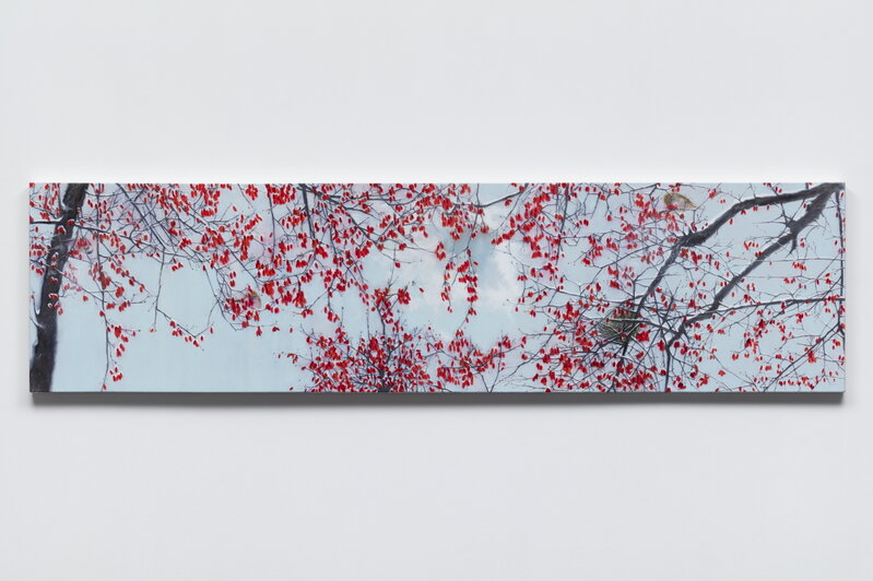 Kim Jung Sun, ‘Cherry Flowers 22-3’, 2022, Painting, Oil on canvas, Leehwaik Gallery