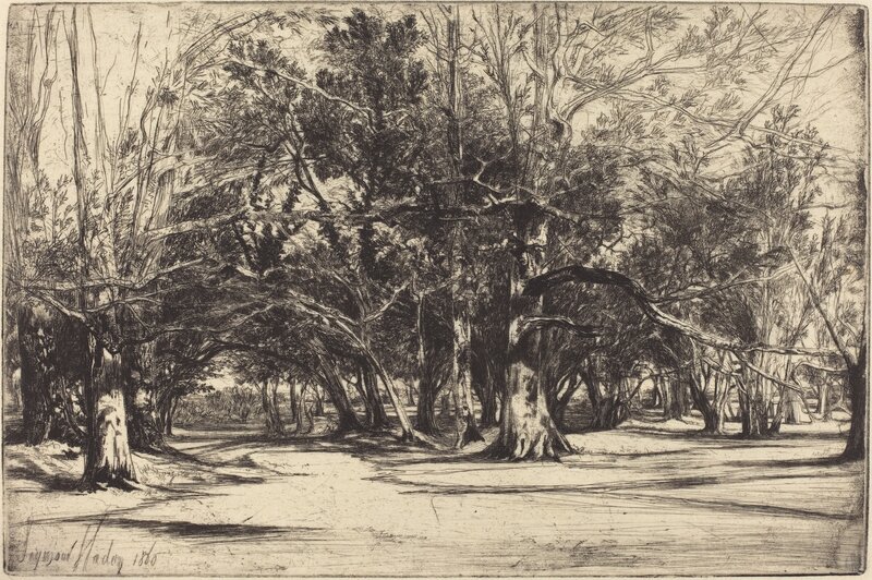Francis Seymour Haden, ‘A By-Road in Tipperary’, 1860, Print, Etching and drypoint, National Gallery of Art, Washington, D.C.