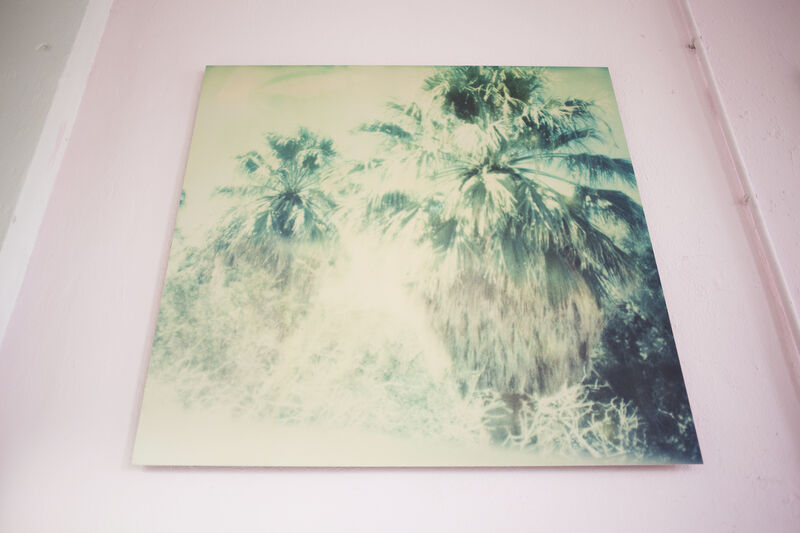 Stefanie Schneider, ‘Blue Sky Palm Trees’, 2005, Photography, Analog C-Print, hand-printed by the artist on Fuji Crystal Archive paper, based on an expired Polaroid, mounted on Aluminum with matte UV-Protection, Instantdreams