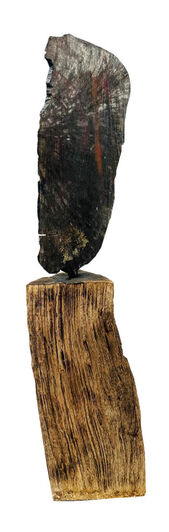 Jean-Claude Bonnifait, ‘Daphné’, 2023