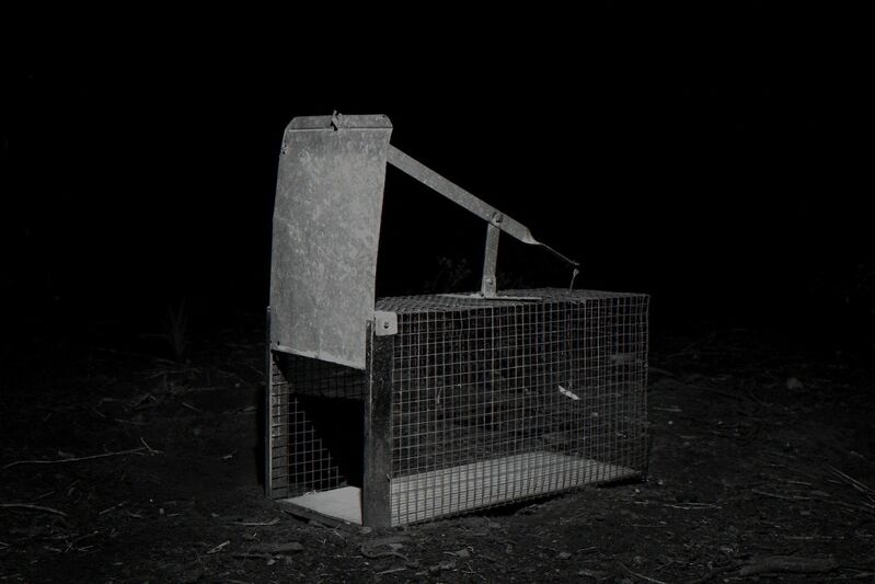 Tom Callemin, ‘Cage’, 2013, Framed inkjetprint on photorag paper, tegenboschvanvreden