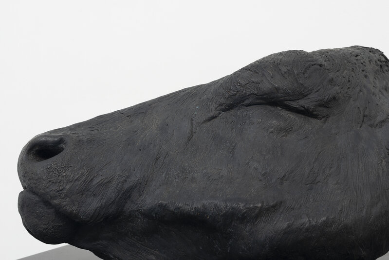 Michele Mathison, ‘Head on a Plate’, 2014, Sculpture, Bronze, WHATIFTHEWORLD
