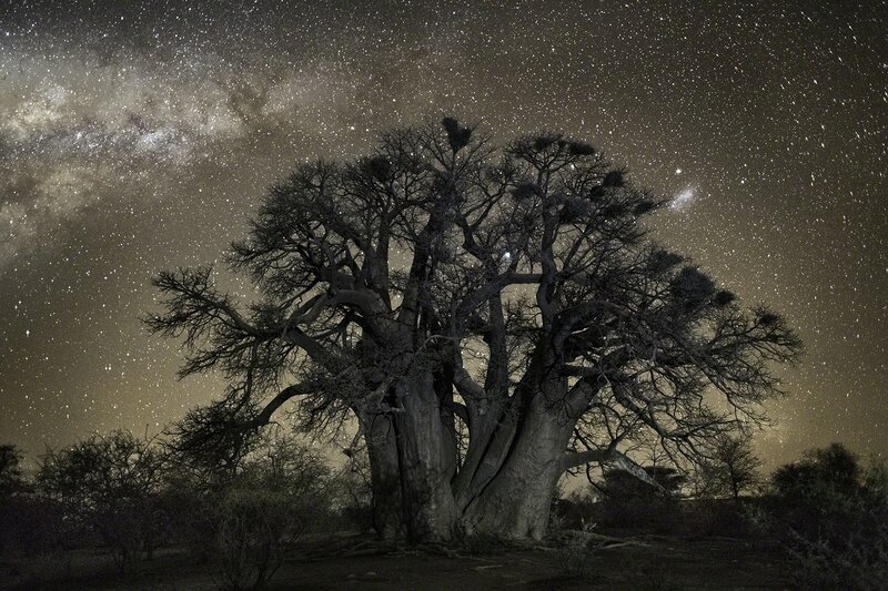Beth Moon, ‘Aludra’, ca. 2017, Photography, Archival Pigment Print, photo-eye Gallery