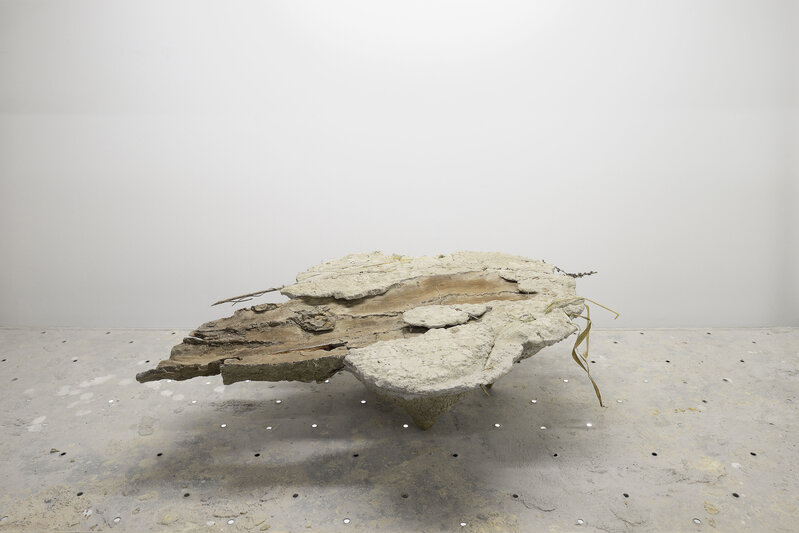 Stefano Canto, ‘Sd15 ’, 2018, Sculpture, Cement, river weeds, tree bark, Matèria