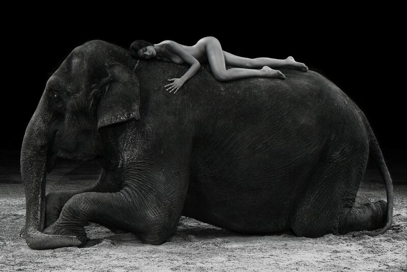 Hervé Lewis, ‘BEAUTY AND THE ELEPHANT’, Photography, B&W photograph on fine art paper, EDEN Gallery
