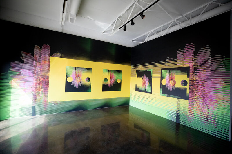 John Pomara, ‘Mural’, 2020, Installation, Vinyl site specific installation, Barry Whistler Gallery