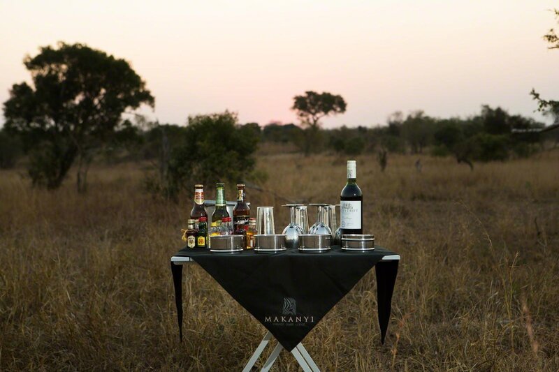 South Africa Art Experience, ‘Exclusive Art Experience in South Africa & Luxury Safari Experience in the Timbavati’, The Watermill Center Benefit Auction