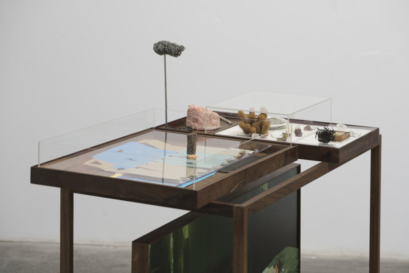 Myeongsoo Kim, ‘Untitled_Lunch Table’, 2016, Installation, Wood, found objects, dead cactus, recrystallized salt, moss, wax, unknown mineral, stone, sand, melted chocolate, found cardboard, steel, steel wool, museum acrylic, archival pigment print with two related photographs mounted on each side of frame, aluminum, plywood., Páramo