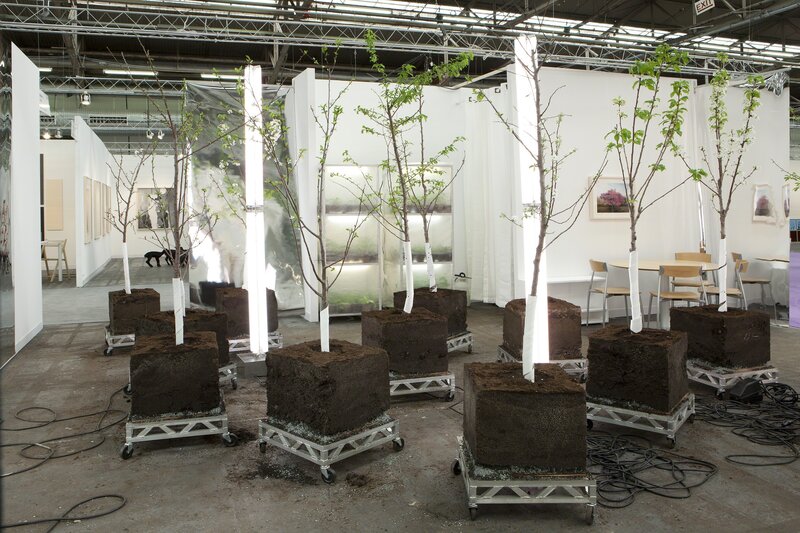 Sam Van Aken, ‘Tree of 40 Fruit Installation at the Armory Show 2011’, 2011, Installation, Trees planted in boxes, Ronald Feldman Gallery