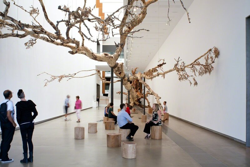 Cai Guo-Qiang 蔡国强, ‘Eucalyptus’, 2013, Installation, Spotted gum (Corymbia maculata), wooden stools, paper and pencils, Cai Studio