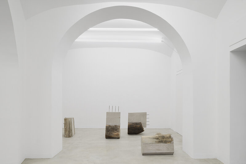 Stefano Canto, ‘Rp 10 (Cipresso, Ministero della Marina, Roma)’, 2019, Sculpture, Reinforced concrete and tree trunk, Matèria