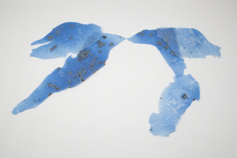 Michael E. Smith, ‘Untitled’, 2011, Sculpture, Blue plastic, beetle, Clifton Benevento