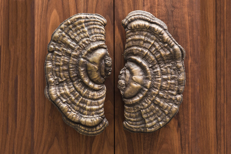 Erin Sullivan, ‘Flora Series, Bronze Mushroom Door Pulls, USA’, 2018, Design/Decorative Art, Bronze with liver of Sulphur Patina, Todd Merrill Studio