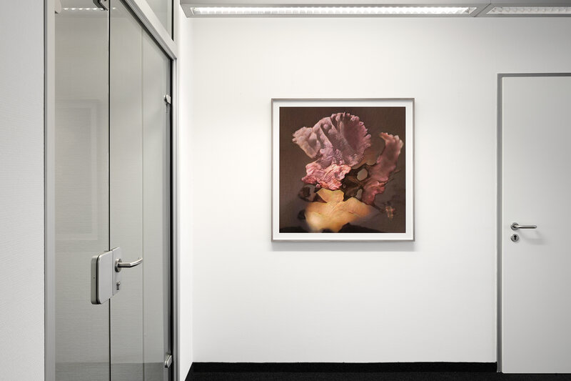 Ornella Fieres, ‘Postcards to M / GAN14’, 2021, Photography, C-Print, wooden frame, museum glass, PRISKA PASQUER