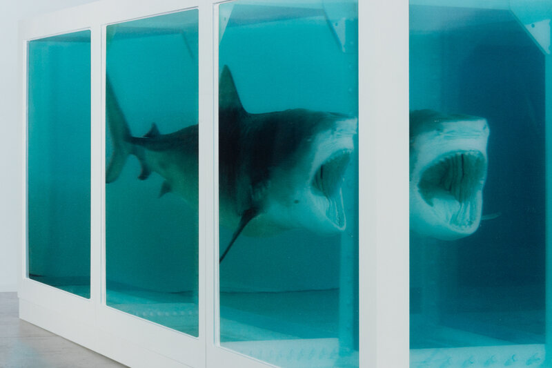 Damien Hirst, ‘The Physical Impossibility of Death in the Mind of Someone Living’, 2013, Other, 3d lenticular, Freeman's | Hindman