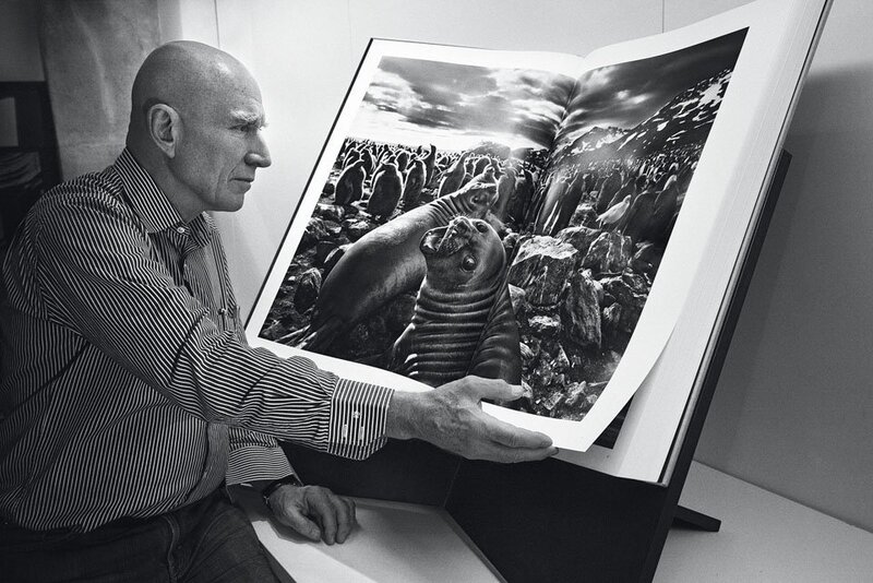 Sebastião Salgado, ‘GENESIS, ‘Marine Iguana, Galápagos, Ecuador’’, 2004, Photography, Gelatin silver print, 10 x 13 in. on 12 x 16 in. paper, 2 hardcover volumes, leather-bound, 18.4 x 27.6 in., 704 pages, with booklet and wooden bookholder designed by Tadao Ando, TASCHEN