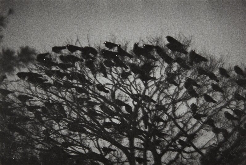 Masahisa Fukase, ‘Kanazawa from Ravens’, 1977, Photography, Gelatin silver print, printed 1986, Phillips
