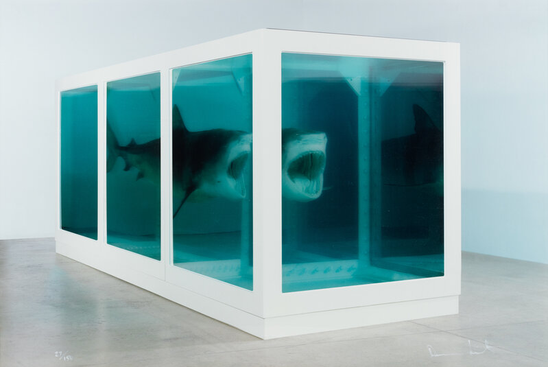 Damien Hirst, ‘The Physical Impossibility of Death in the Mind of Someone Living’, 2013, Other, 3d lenticular, Freeman's | Hindman
