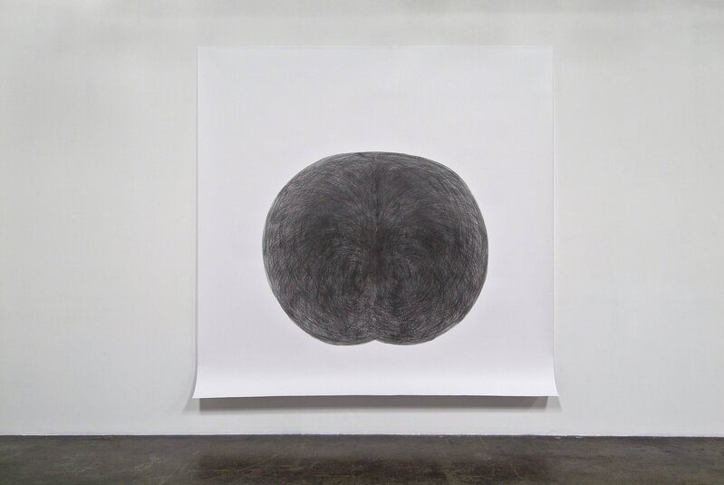 Tony Orrico, ‘Penwald: 9: lateral bends lost’, 2010, Drawing, Collage or other Work on Paper, Graphite on paper, MARSO