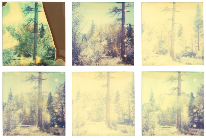 Stefanie Schneider, ‘In the Range of Light (Wastelands) ’, 2003, Photography, 6 Analog C-Prints, hand-printed by the artist on Fuji Crystal Archive Paper, based on 6 SX-70 Polaroids. Not mounted., Instantdreams