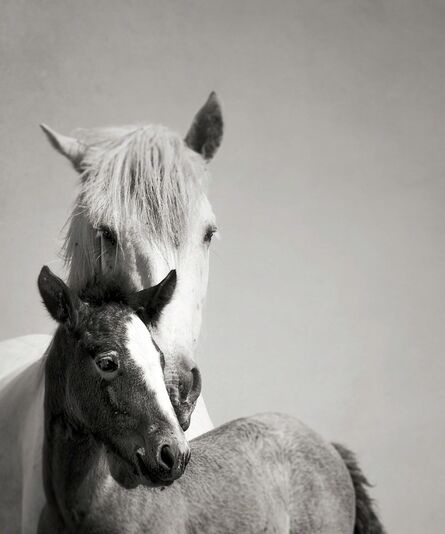 Jonathan Chritchley, ‘Mare and Foal’, 2012