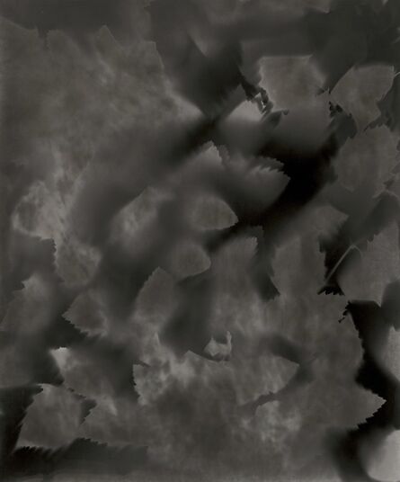 Ray K. Metzker, ‘Unique Photogram of Leaves’, 2007
