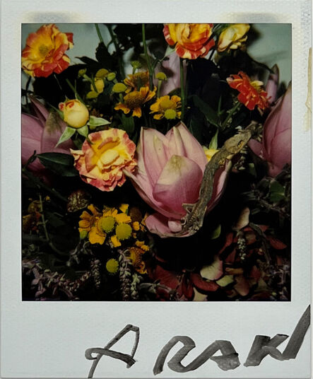 Nobuyoshi Araki, ‘Flower polaroid’, ca. 2000