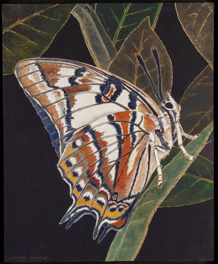 Cressida Campbell, ‘Resting Butterfly’, 2006