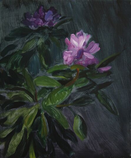 TM Davy, ‘Rhododendron’, 2016