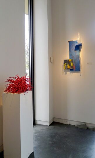 Color IV, installation view