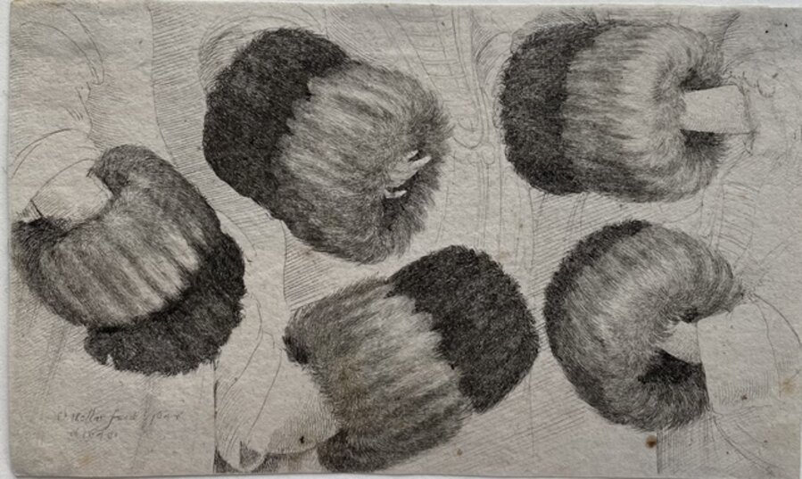 A Muff in Five Views