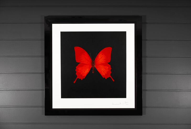 Damien Hirst, ‘Red Butterfly Soul Etching ’, 2007, Print, Etching on Velin Arches Paper, Arton Contemporary