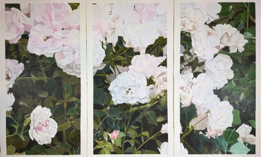 Lori's Roses