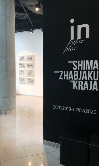 IN paper and plex featuring Orion Shima, Ergys Zhabjaku, Jon Kraja, installation view