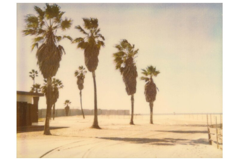 Stefanie Schneider, ‘Palm Trees in Venice (Stranger than Paradise) ’, 1999, Photography, Analog C-Print based on a Polaroid, hand-printed by the artist on Fuji Crystal Archive Paper. Not mounted., Instantdreams