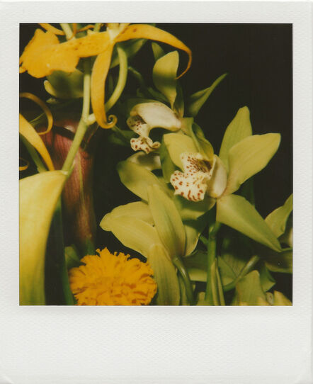 Nobuyoshi Araki, ‘Polaroid’, 2000-2005