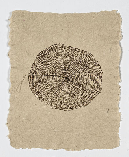 Maggie Gourlay, ‘Tree Scar 1’, 2021