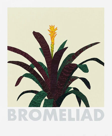 Jonas Wood, ‘Bromeliad’, 2020