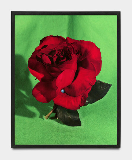 Sara Cwynar, ‘Red Rose III’, 2020