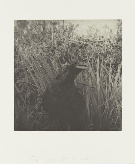 Jim Dine, ‘Birds’, 2001