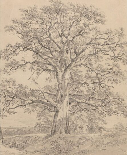 John Constable, ‘A Great Oak Tree’, ca. 1801