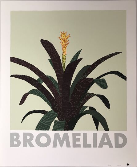 Jonas Wood, ‘Bromeliad’, 2020