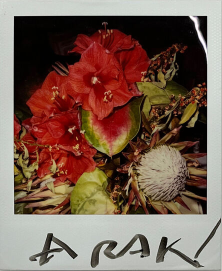 Nobuyoshi Araki, ‘Flower polaroid’, ca. 2000