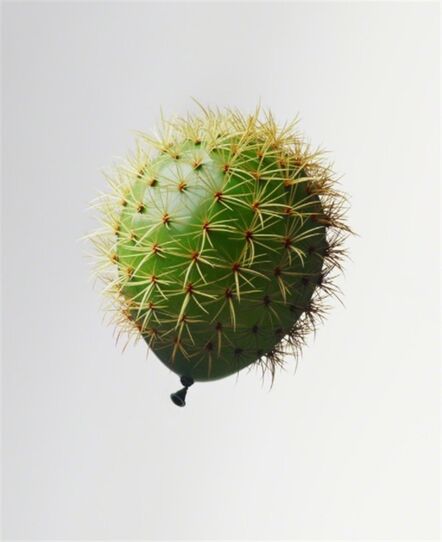 Nancy Fouts, ‘Cactus Balloon’, 2010