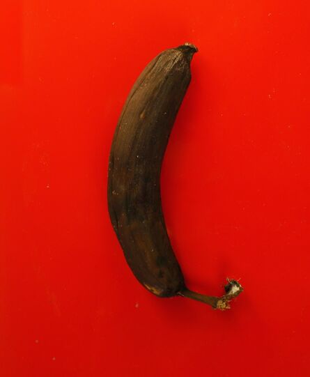 Oreet Ashery, ‘Untitled (banana)’, 2014
